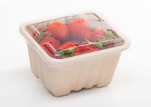 Products: 250g Produce fibre punnet 135 x 117 x 72mm (with no holes) - Punchbowl Packaging