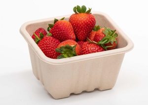 250g Produce fibre punnet 135 x 117 x 72mm (with holes) - Punchbowl Packaging
