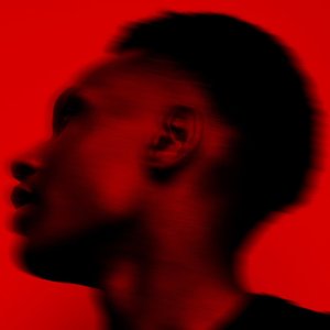 Faded on Vinyl - Punctum