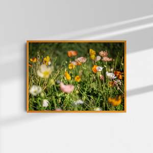 Art: Poppies I