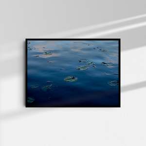 Art: Turtle Lake