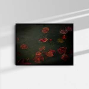 Art: Rotoroa I