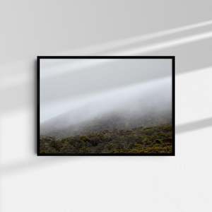 Art: Kahurangi Mist IV