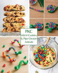 All: PKC - M&M Cookies + Pipe Cleaner Animals | Wednesday 15th July