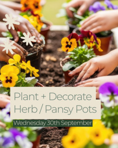 PKC - Plant + Decorate Herb/ Pansy Pots | Wednesday 30th September