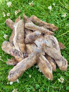 Treats: RABBIT FEET - air-dried