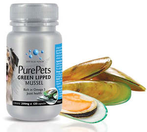 Other Stuff: GREEN LIPPED MUSSEL capsules for Dogs
