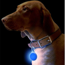 Products: Silicone LED Flashing Night Light for Dogs Puptrek