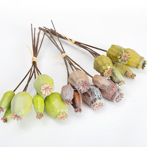 Products: Poppy fruit Puredeco