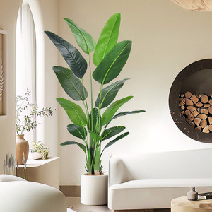 Products: Artificial Traveller's Palm Puredeco