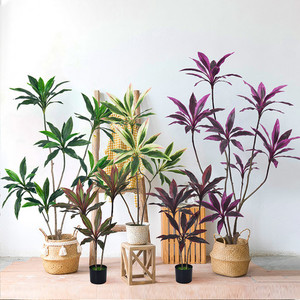 Products: Artificial Brazilwood Puredeco