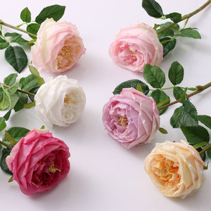 Products: Real-touch Austin Roses Puredeco