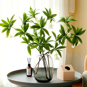 Products: Water Stone Banyan Puredeco