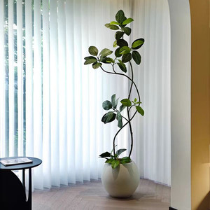 Products: Artificial Banyan Fig Puredeco