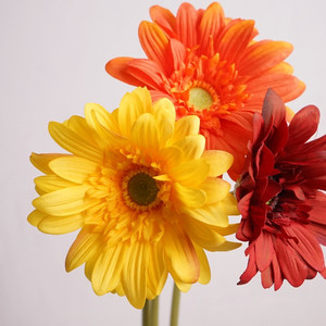 Artificial Real-touch Gerbera Puredeco