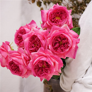 Products: Real-touch Artificial Rose Austin Juliet Puredeco