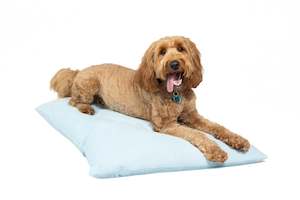 PureComfort Corduroy Pet Bed Medium
