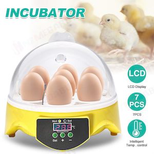Bird: Egg Incubator 7 Eggs Digital Fully Automatic
