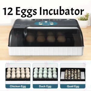 Bird: 12Eggs Egg Incubator Digital Fully Automatic Egg Turning