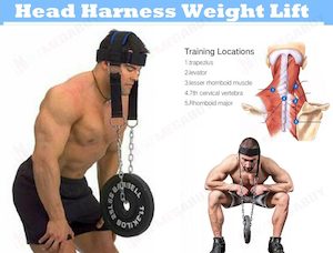 Head Neck harness Gym weight lift strength strap