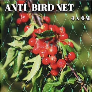 Farming Forestry: Anti Bird Netting 4 x 6 M Fruit protector