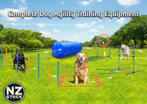 New Dog Agility Equipment Afterpay