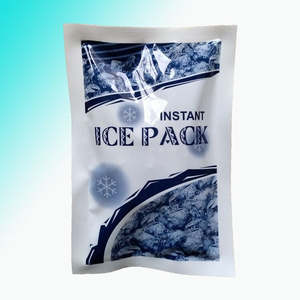 Instant Ice Pack 5pc