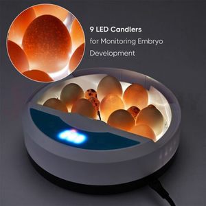 Business Farming Industry: 9 Egg Digital incubator – Automatic LED Hatch for Chicken, Duck & Quail Eggs