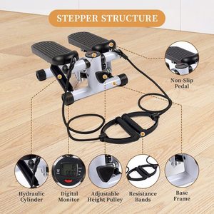 Mini Twist Stepper with Resistance Bands & LCD