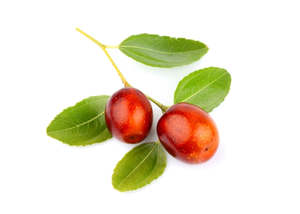 Frontpage: Jojoba Oil - Pure Organic Golden