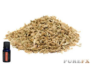 Aromatherapy: Carrot Seed Essential Oil