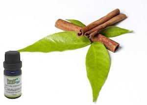 Aromatherapy: Cinnamon Essential Oil