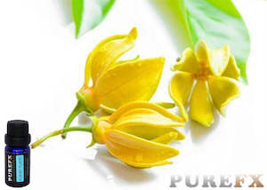 Aromatherapy: Ylang Ylang Essential oil