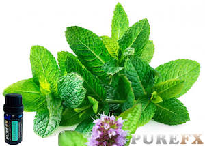 Aromatherapy: Spearmint Essential Oil
