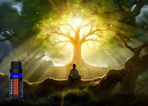 Essential Oil Blends: Grounding Essential Oil Blend