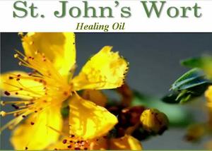 Cosmetic Making: St Johns Wort infused Oil ( Hypericum )