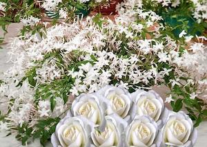 Floral Fragrances: White Rose & Jasmine Fragrance Oil