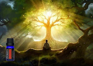 Essential Oil Blends: Grounding Essential Oil Blend
