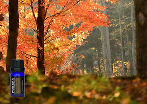 Essential Oil Blends: Earth and Wood Essential Oil Blend