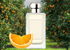 Fragrance Oils: Citrus Blossom Fragrance Oil