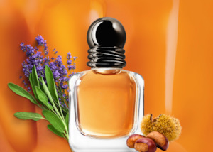 Fragrance Oils: Stronger With You Type Fragrance Oil