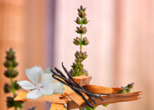 Fragrance Oils: Vanilla, Patchouli & Sandalwood Fragrance Oil