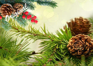 Fresh Fragrances: Fresh Pine & Fir Needle Fragrance Oil