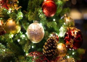Holiday Fragrances: Christmas Tree Fragrance Oil
