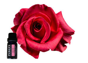 Aromatherapy: Rose Essential Oil