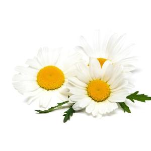 Skin Soother Bath Salts: Chamomile, Roman Essential Oil