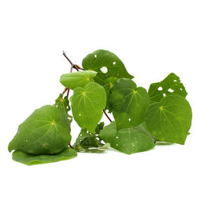 Manuka Kawakawa Cleansing Balm: Kawakawa Infused Oil