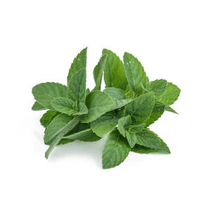 Decongestant Shower Steamer: Peppermint, Arvensis - Organic Essential Oil