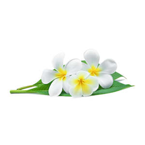 Google Shopping: Monoi de Tahiti®