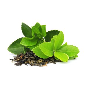 New Zealand Grown Ingredients: ZeaDerMX® CO - Green Tea Infused Oil